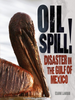 Oil_Spill_