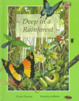 Deep_in_a_rainforest