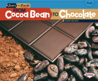 From_cocoa_bean_to_chocolate