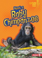 Meet_a_baby_chimpanzee