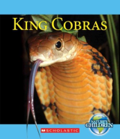 King_cobras