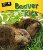 Beaver_kits