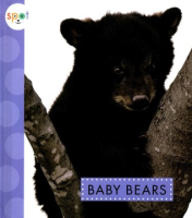 Baby_bears