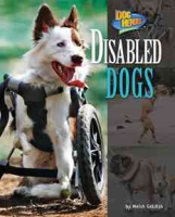 Disabled_dogs