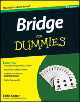Bridge_for_dummies