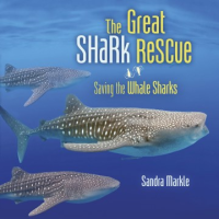 The_great_shark_rescue