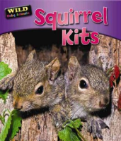 Squirrel_kits