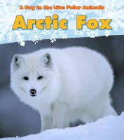 Arctic_fox