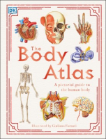 Body_atlas