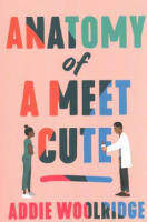 Anatomy_of_a_meet_cute